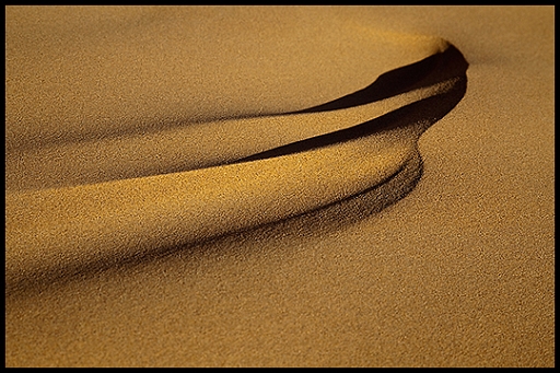 _MG_2300 sand.jpg